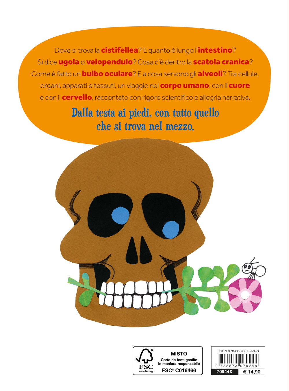 Dalla testa ai piedi::Sopra sotto dentro fuori il corpo umano