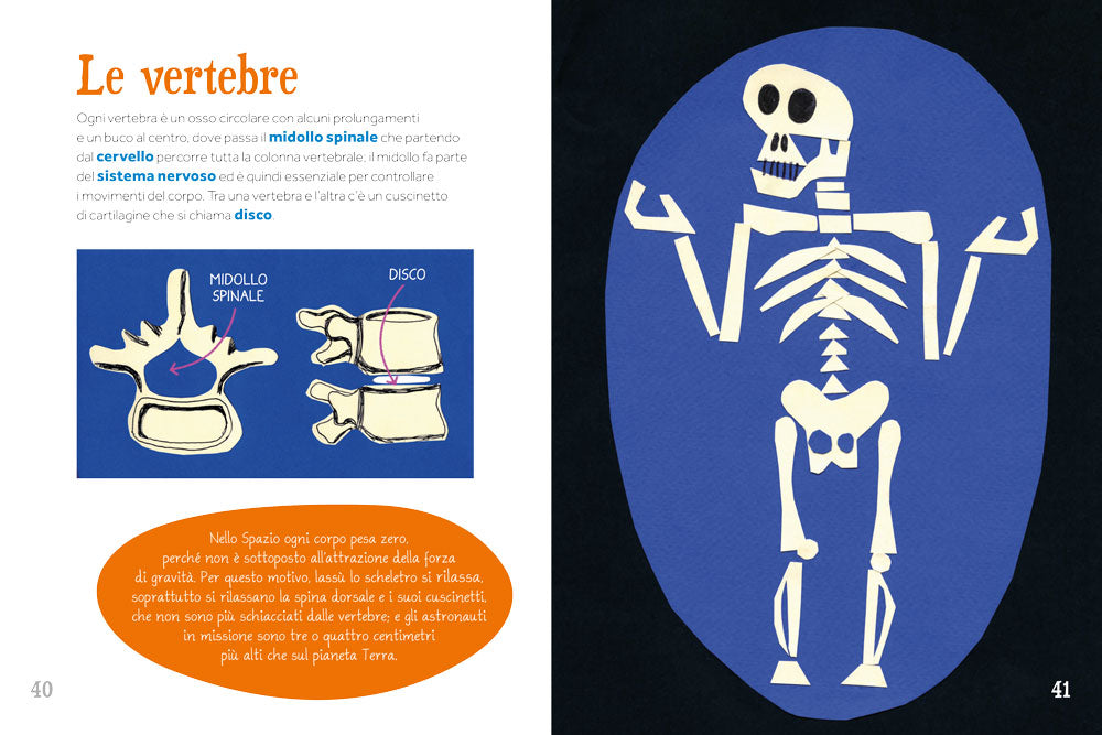 Dalla testa ai piedi::Sopra sotto dentro fuori il corpo umano