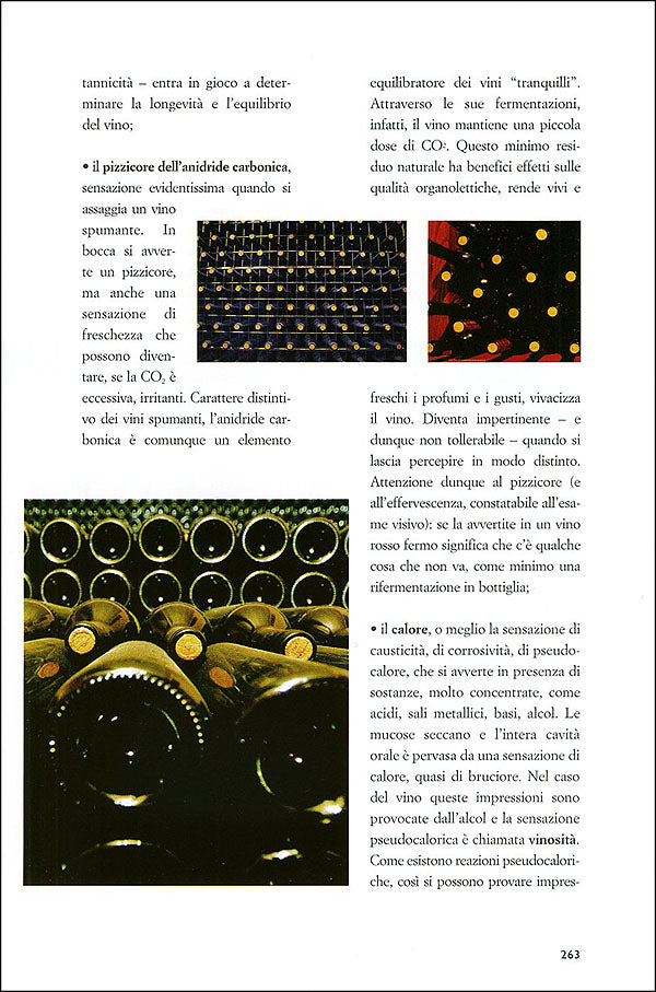 Il piacere del vino::Come imparare a bere meglio - Nuova edizione