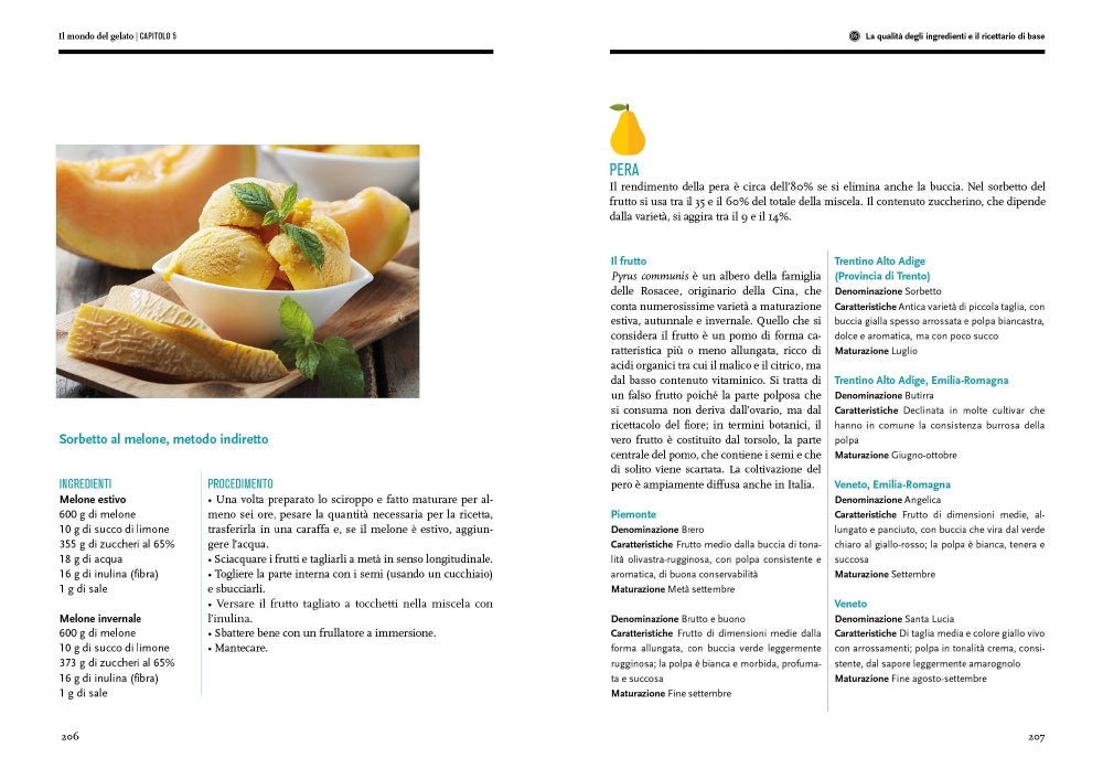 Il mondo del gelato::Storia, scienza, produzione, degustazione - In allegato la Guida alle migliori gelaterie d'Italia