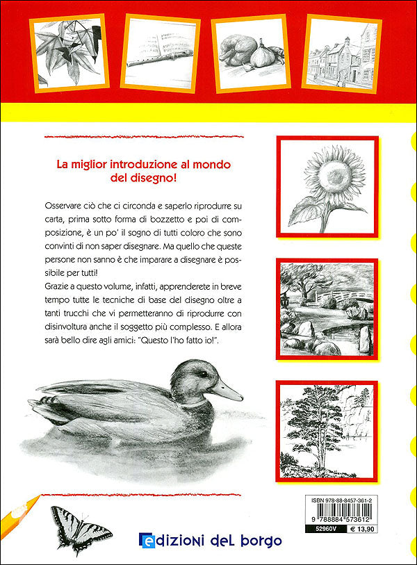 Corso di disegno per principianti