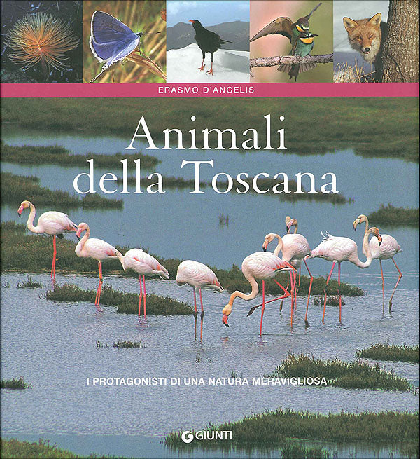 Animali della Toscana::I protagonisti di una natura meravigliosa