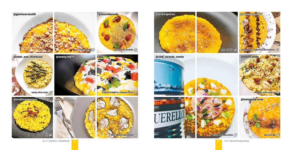 Tutti i colori di  / All the colors of  Acquerello::ispirazioni di riso / rice inspirations