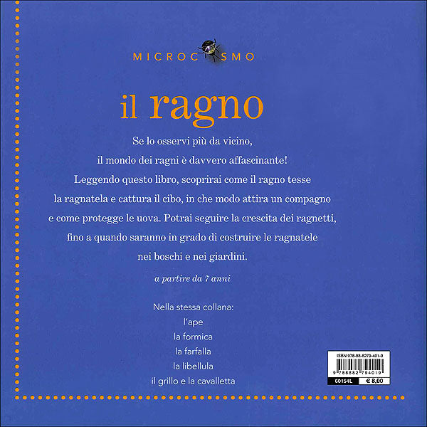Il ragno