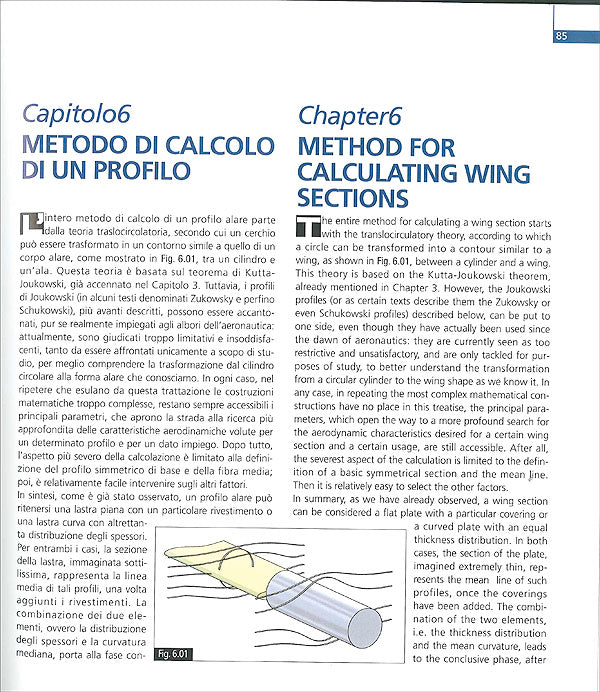 Ali / Wings::Progettazione e applicazione su auto da corsa / Their design and application to racing cars