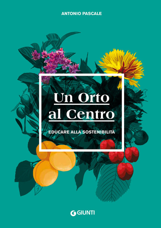 Un Orto al Centro::Educare alla sostenibilità
