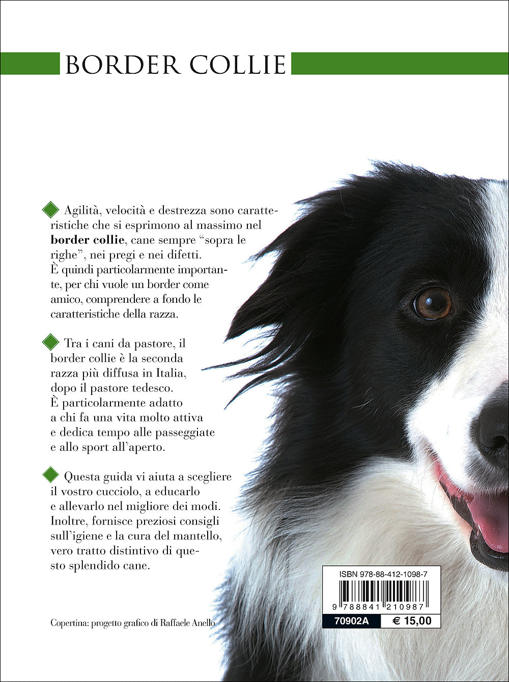 Border Collie::Vita in casa - Educazione - Cure