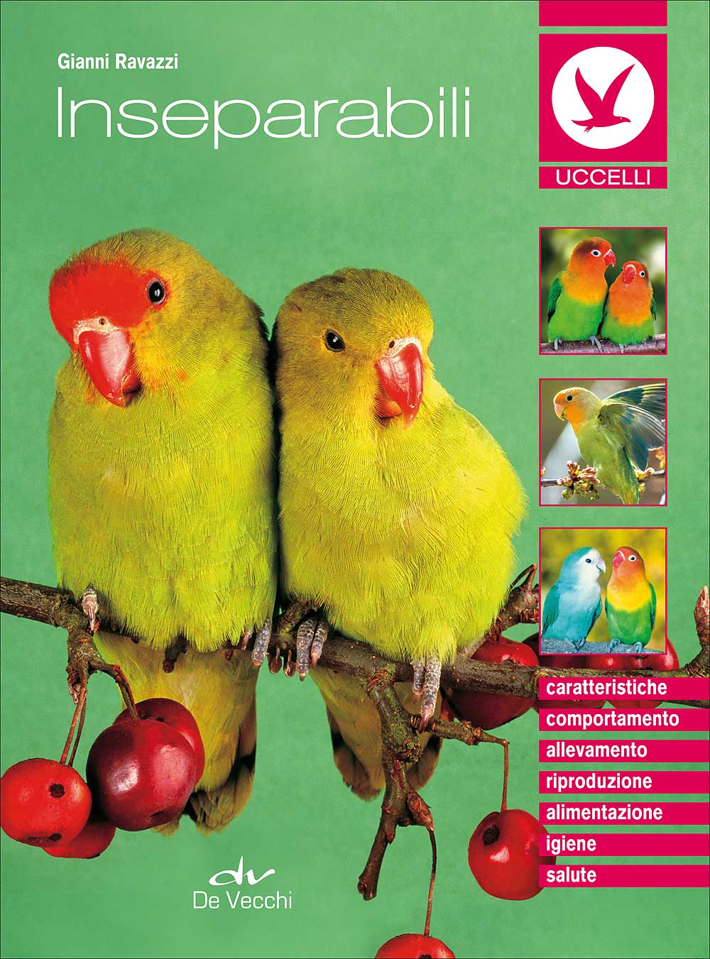 Inseparabili::Caratteristiche - Comportamento - Allevamento - Riproduzione - Alimentazione - Igiene - Salute