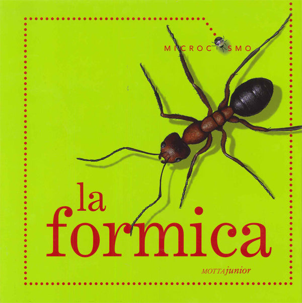 La formica