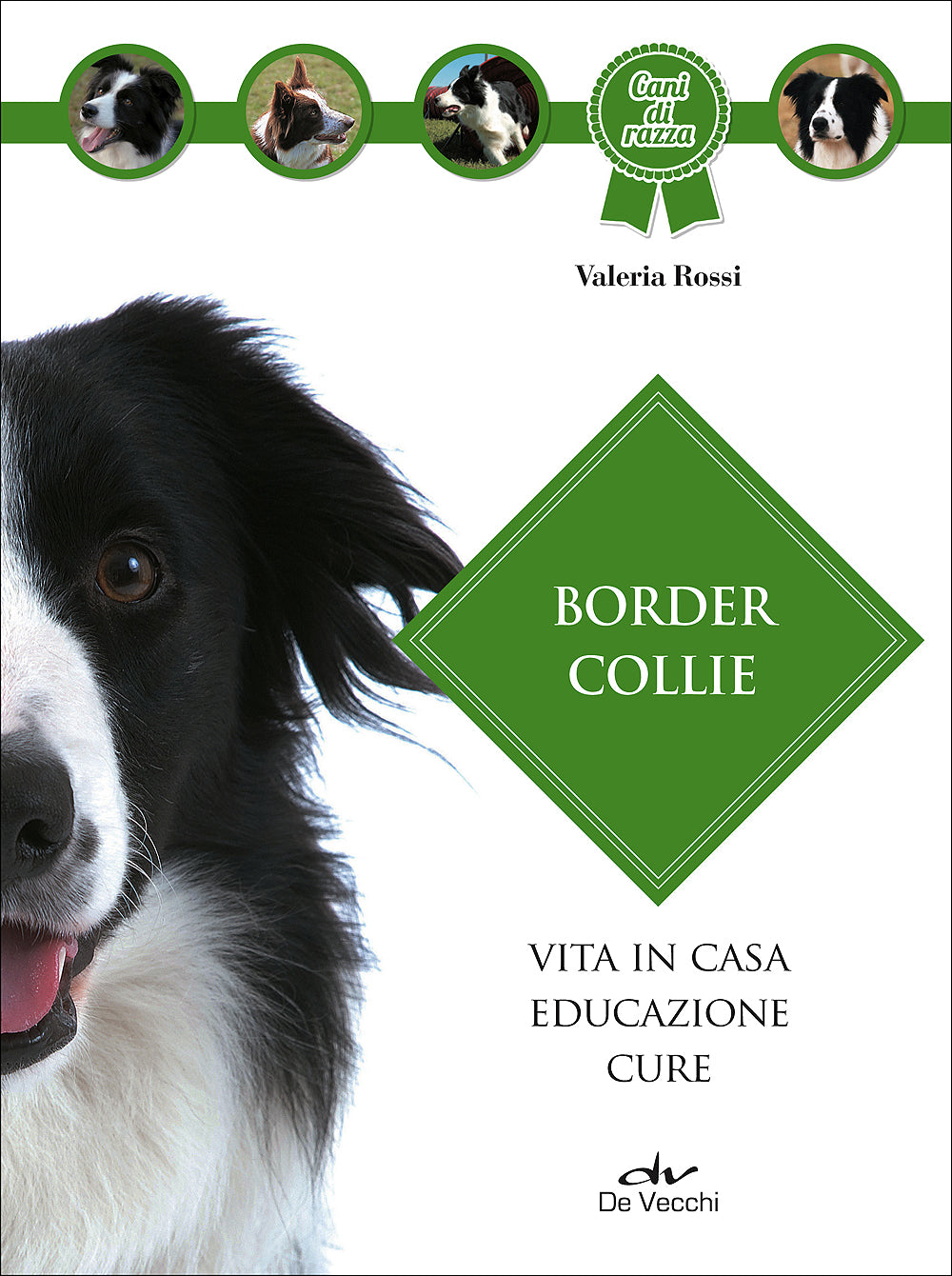 Border Collie::Vita in casa - Educazione - Cure
