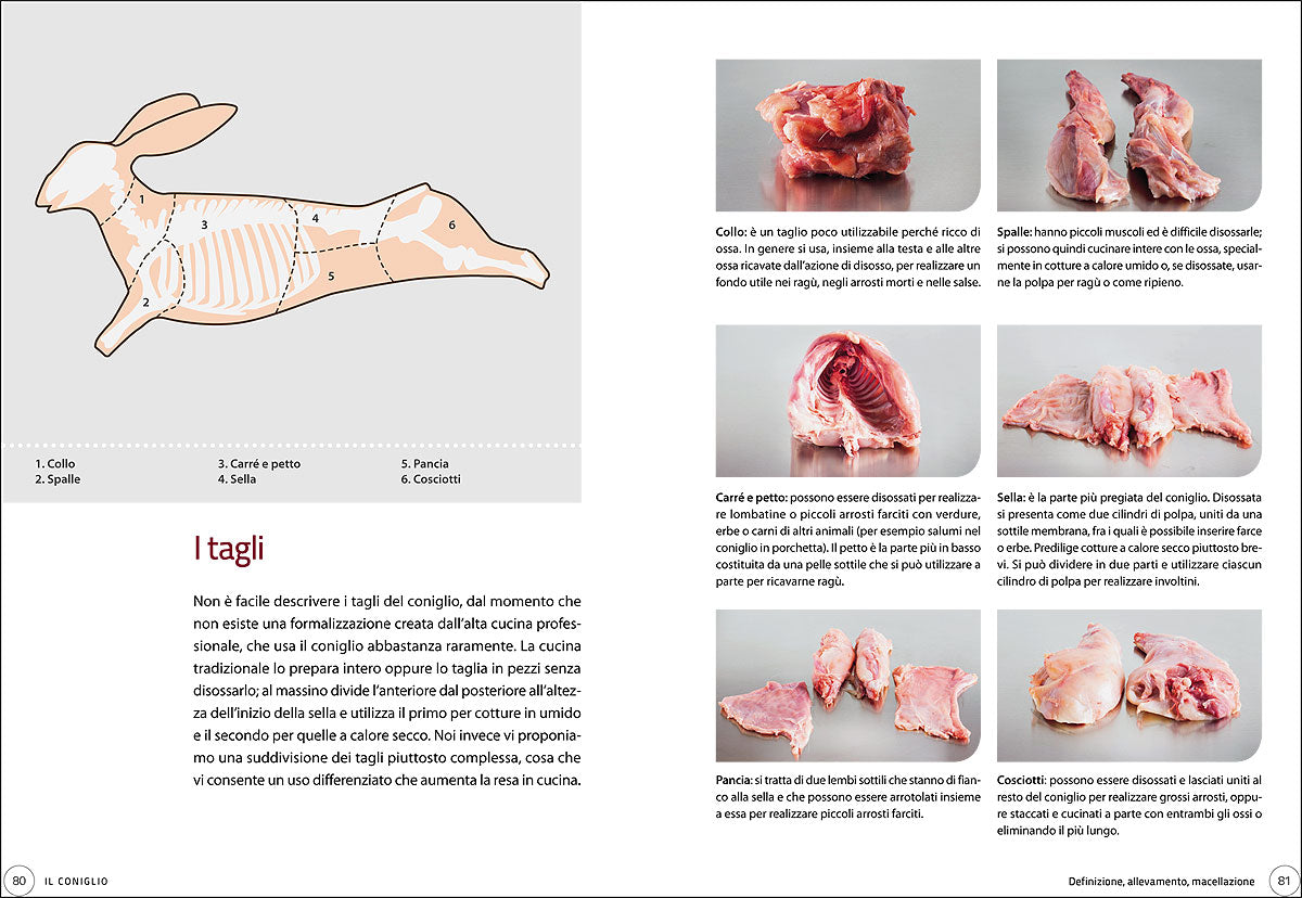 Pollame e animali da cortile