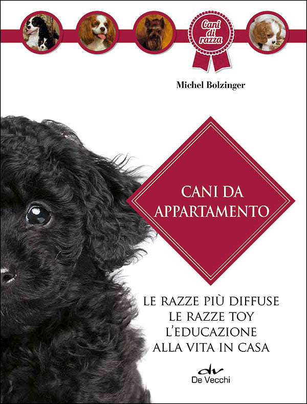 Cani da appartamento::Le razze più diffuse - Le razze toy - L'educazione alla vita in casa