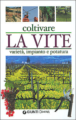 Coltivare la Vite::varietà, impianto e potatura