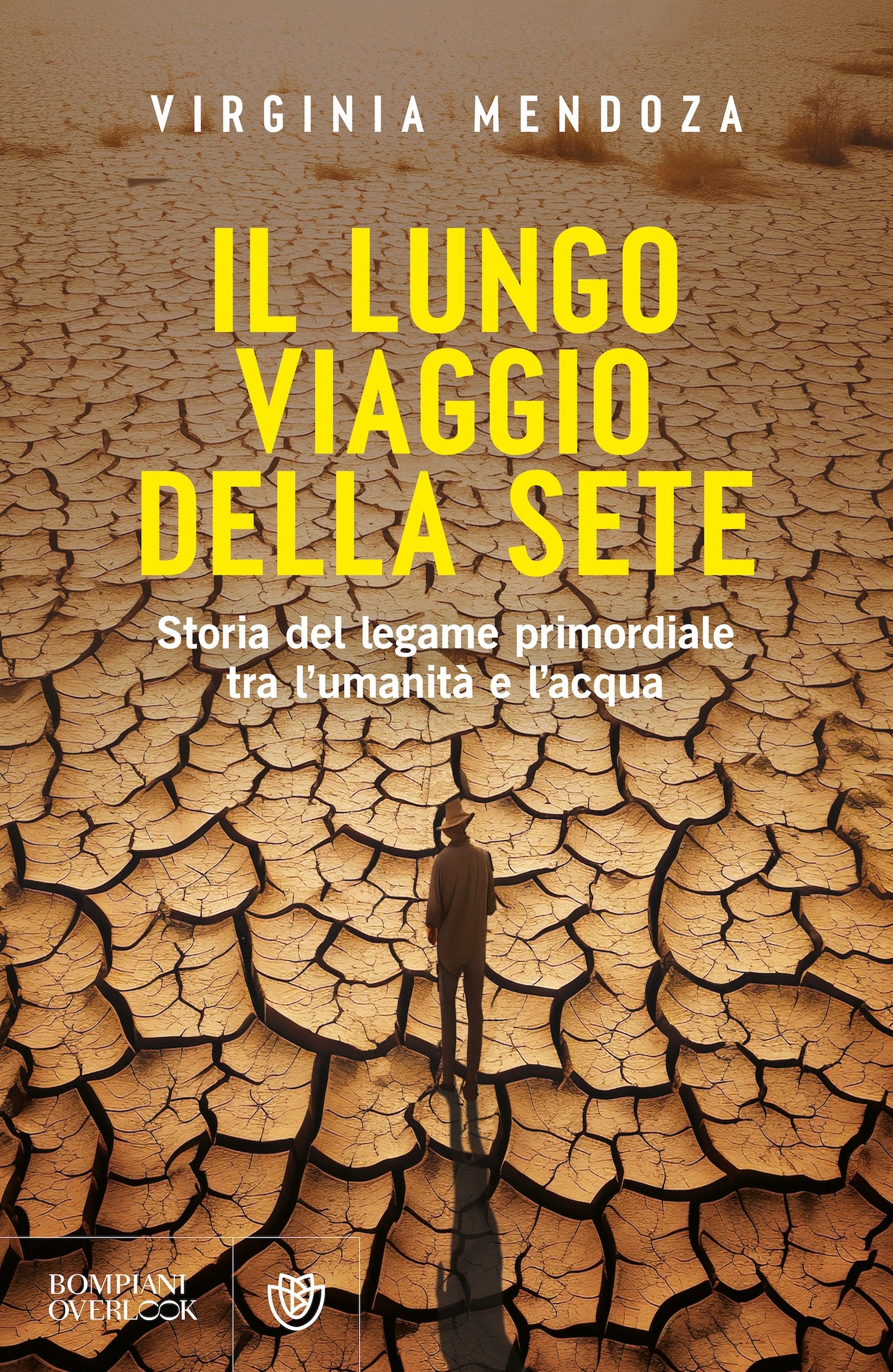 Il lungo viaggio della sete::Storia del legame primordiale tra l'umanità e l'acqua