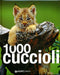 1000 cuccioli