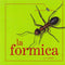 La formica