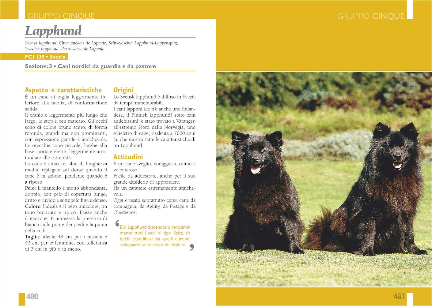 Enciclopedia internazionale Cani. Tutte le razze::Storia - Caratteristiche - Impieghi - Attitudini