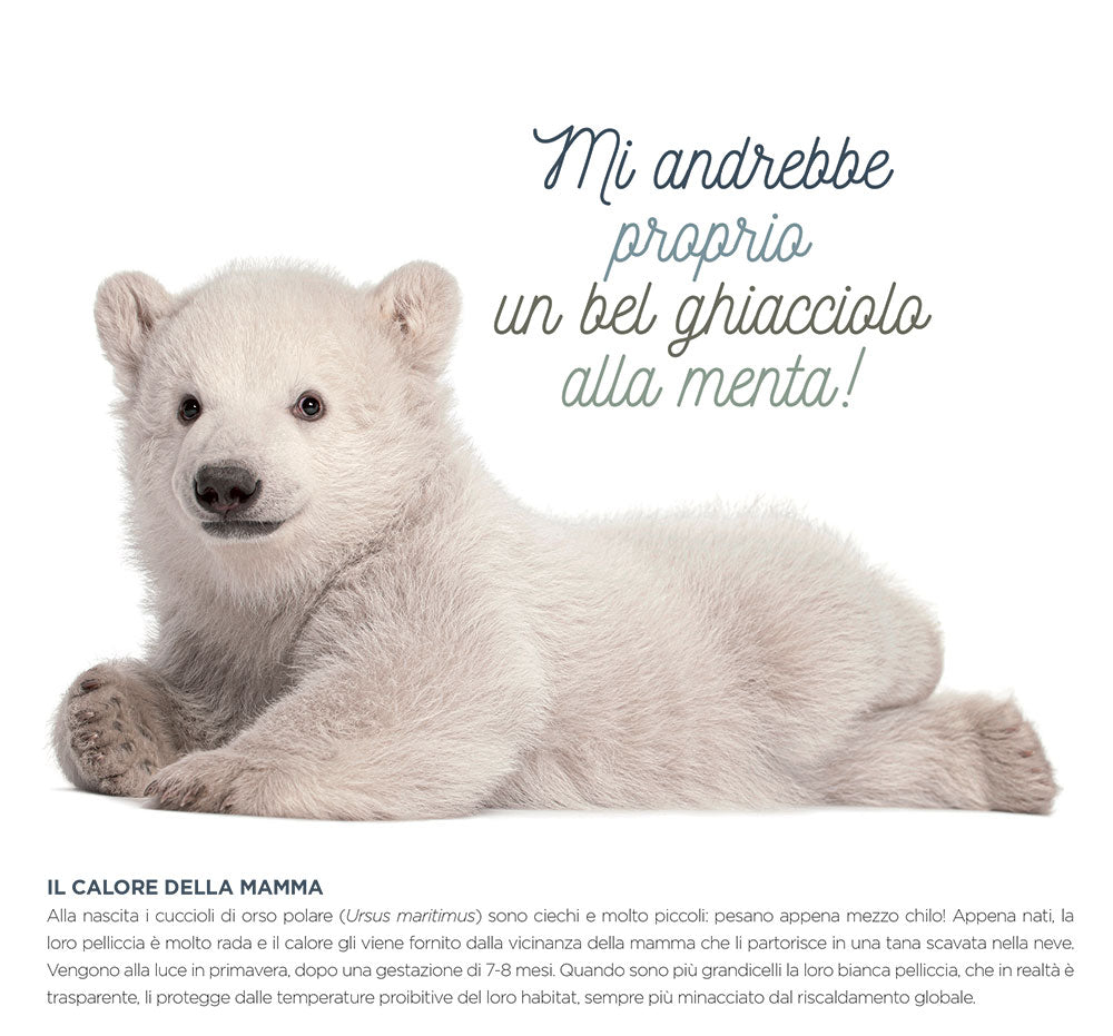 Calendario Cuccioli desk 2024 da tavolo (17 x 16 cm)