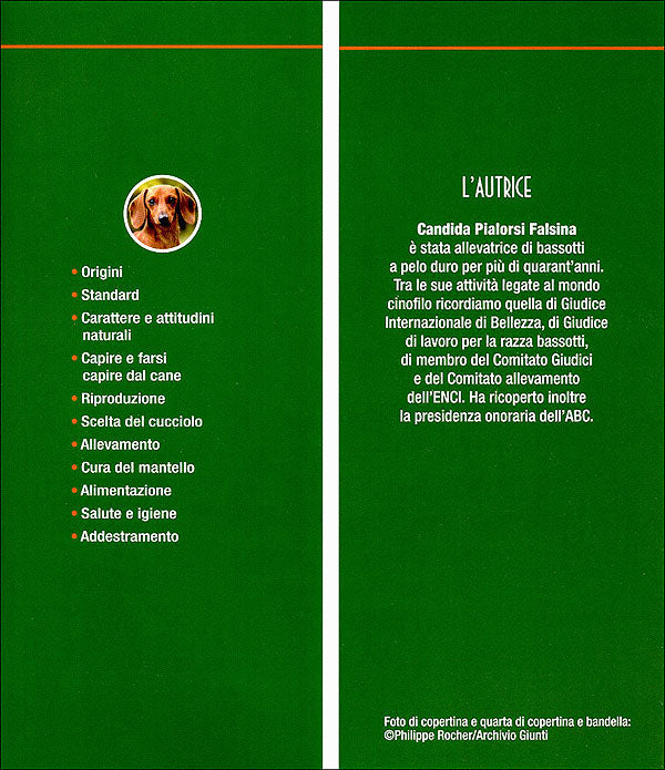 Bassotti::Scelta del cucciolo - Standard - Educazione - Alimentazione - Salute