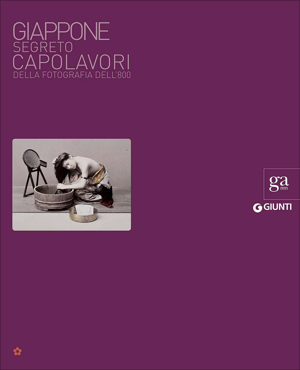 Giappone segreto::Capolavori della fotografia dell'800