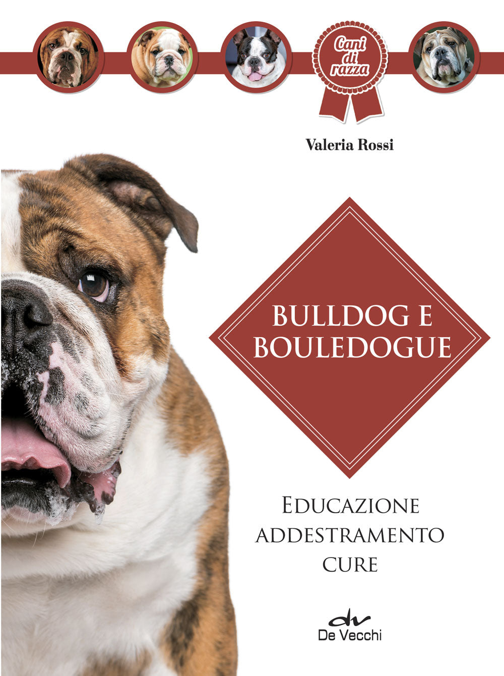 Bulldog e bouledogue::Educazione - Addestramento - Cure