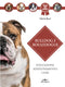 Bulldog e bouledogue::Educazione - Addestramento - Cure