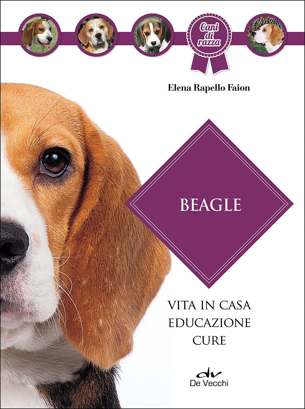 Beagle::Vita in casa - Educazione - Cure