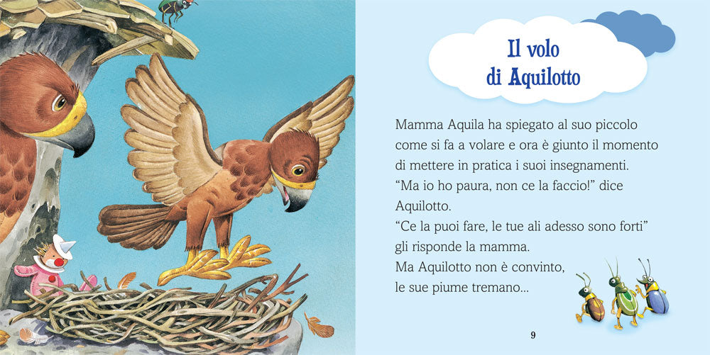 Paura
