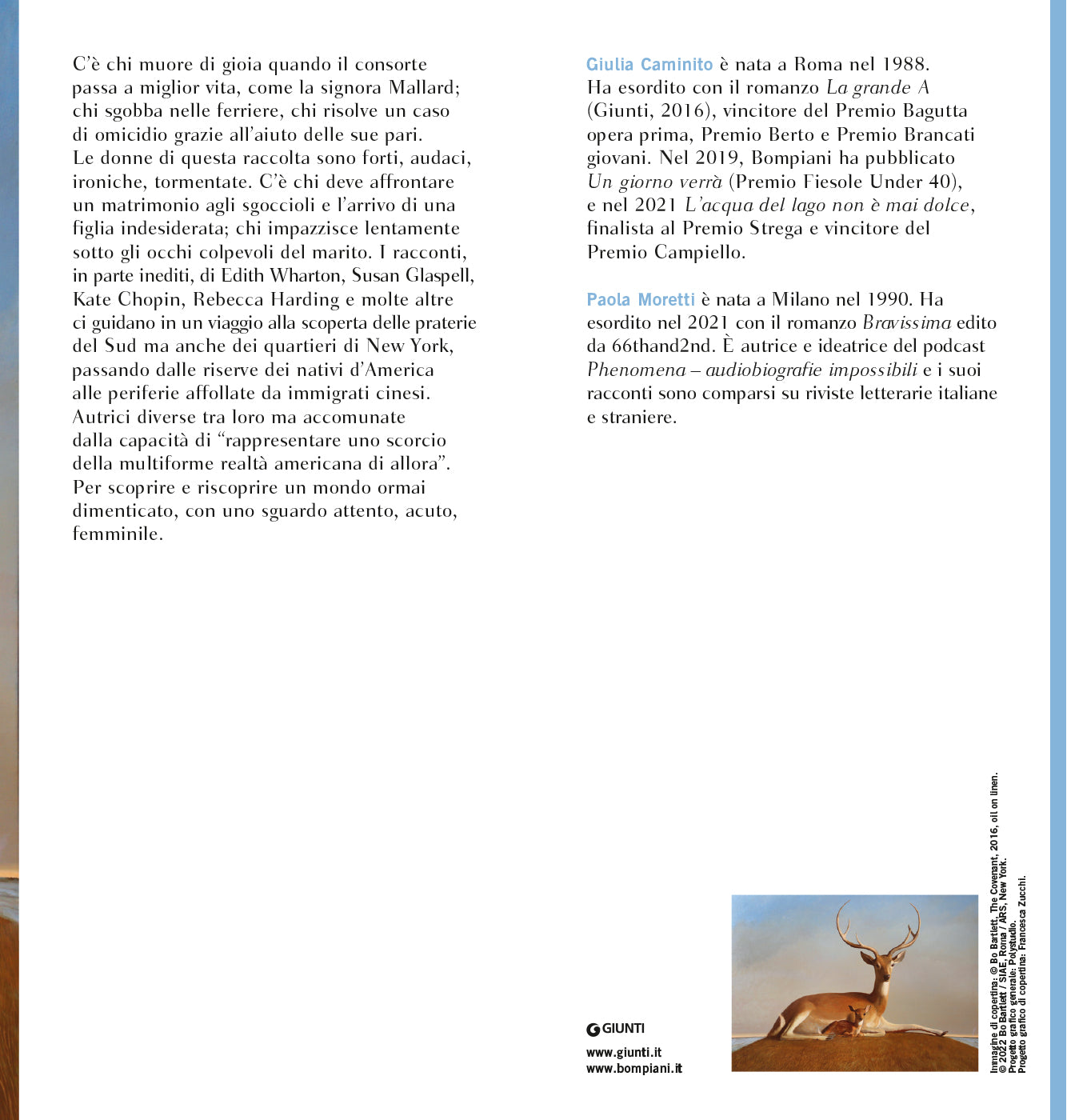 Donne d'America::Diciotto scrittrici raccontano gli Stati Uniti del secolo scorso