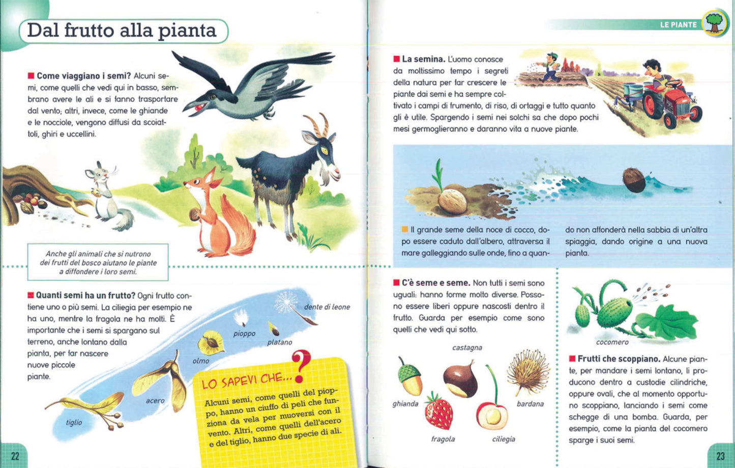 Vita::Con stickers e quiz