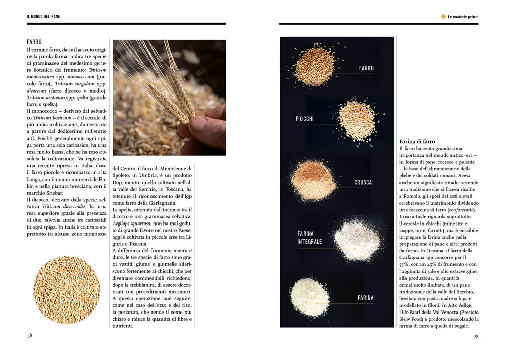 IL MONDO DEL PANE::CONOSCERLO, SCEGLIERLO, FARLO IN CASA