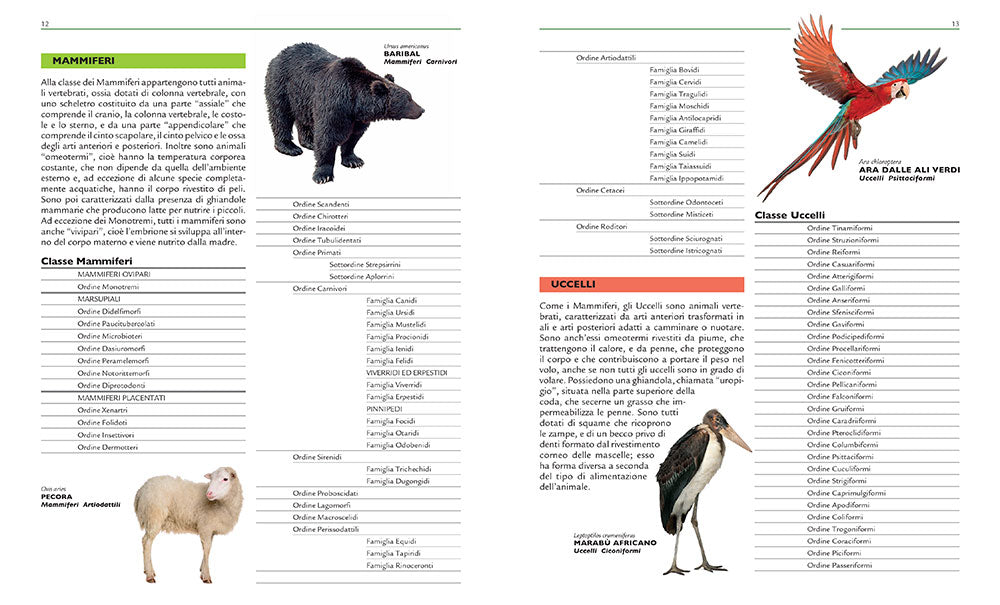 Grande enciclopedia illustrata degli animali