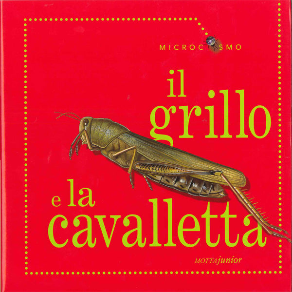 Il grillo e la cavalletta
