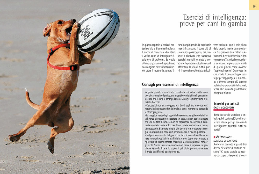 Giocare con il cane