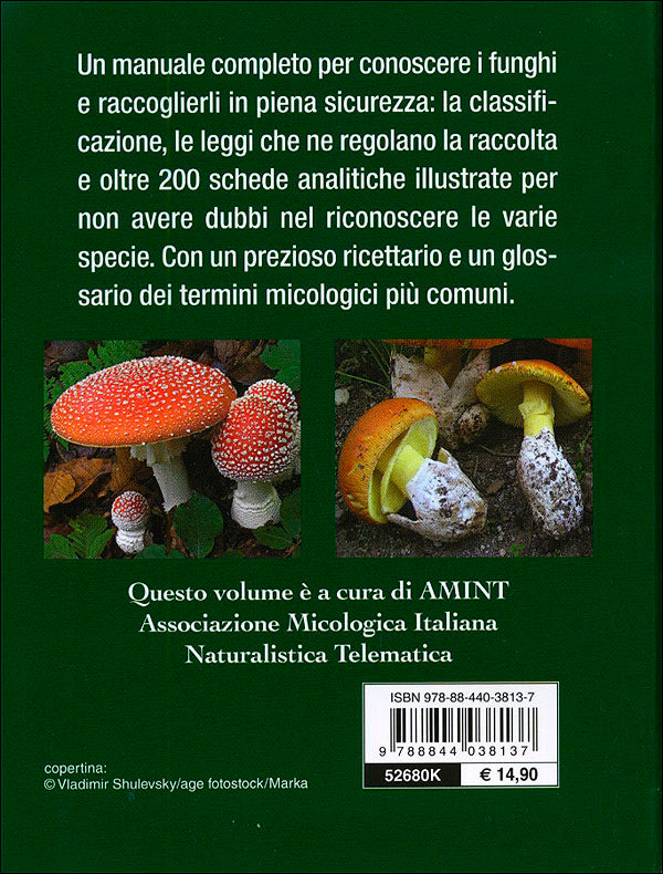 Tutto Funghi::conoscerli raccoglierli cucinarli