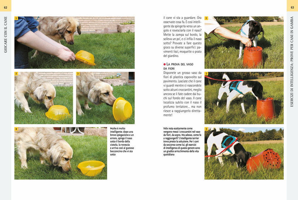 Giocare con il cane