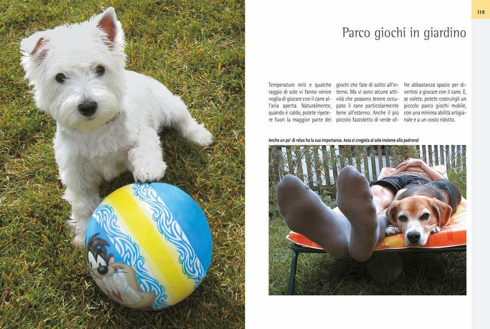 Giocare con il cane