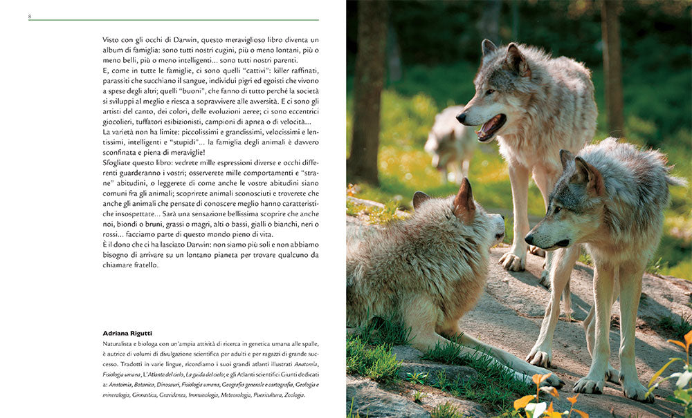 Grande enciclopedia illustrata degli animali