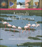 Animali della Toscana::I protagonisti di una natura meravigliosa