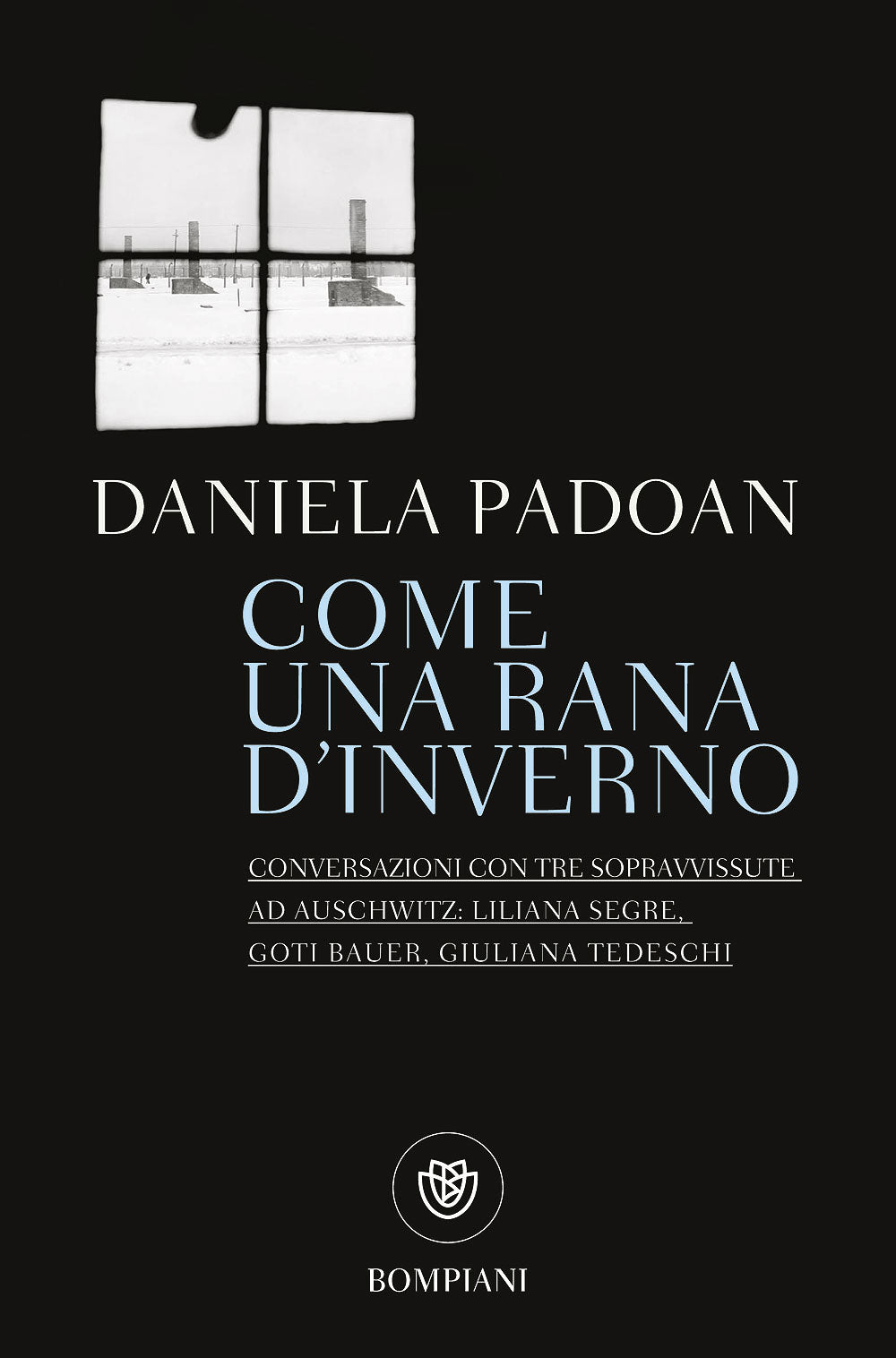 Come una rana d'inverno::Conversazioni con tre sopravvissute ad Auschwitz: Liliana Segre, Goti Bauer, Giuliana Tedeschi