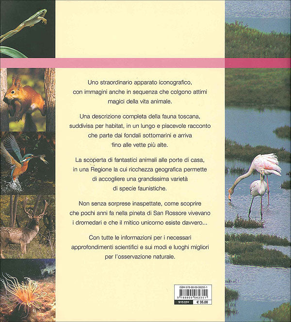 Animali della Toscana::I protagonisti di una natura meravigliosa