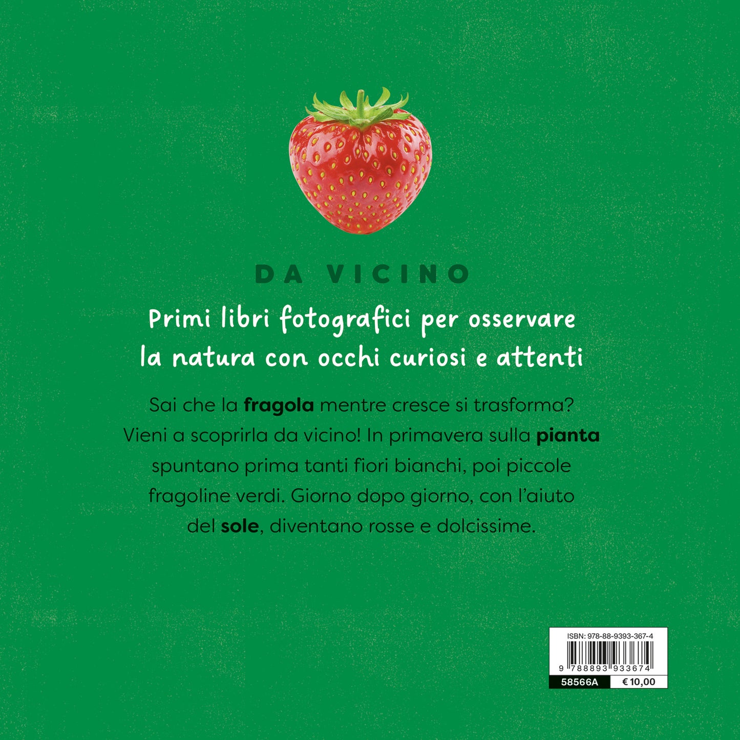 Fragola::un primo sguardo scientifico sul mondo naturale