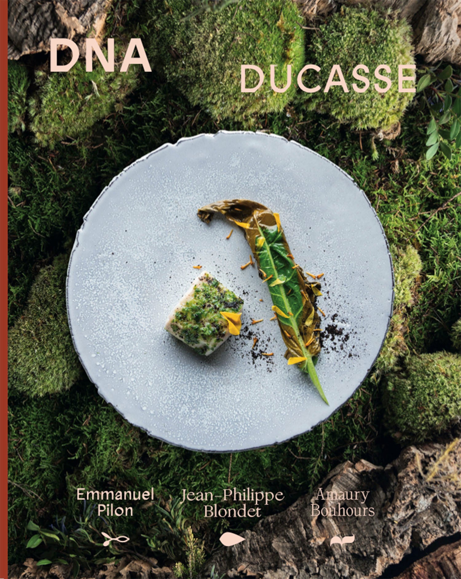 DNA DUCASSE