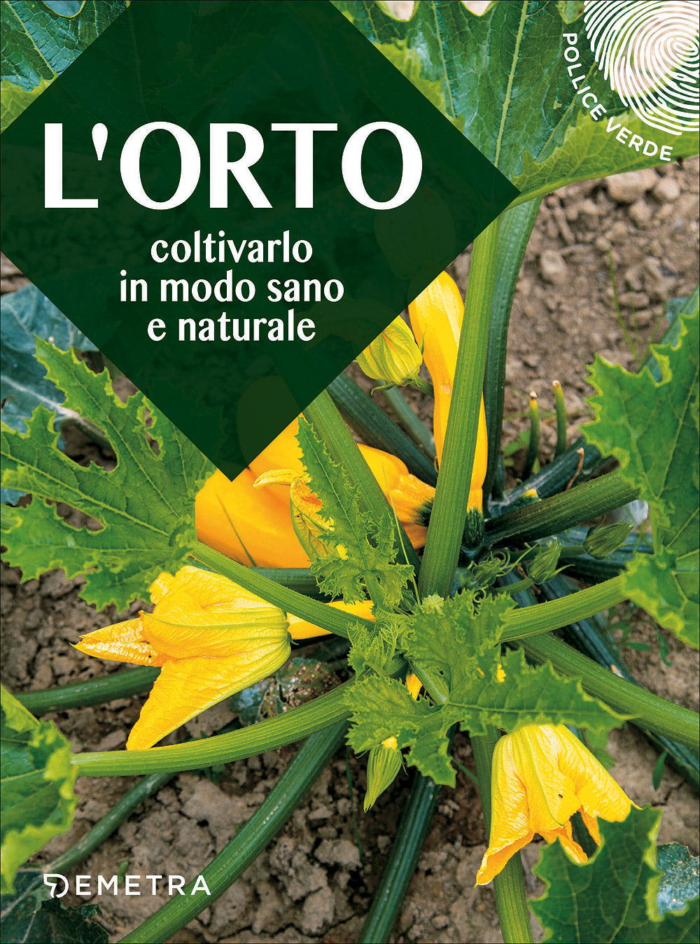 L'orto::Coltivarlo in modo sano e naturale