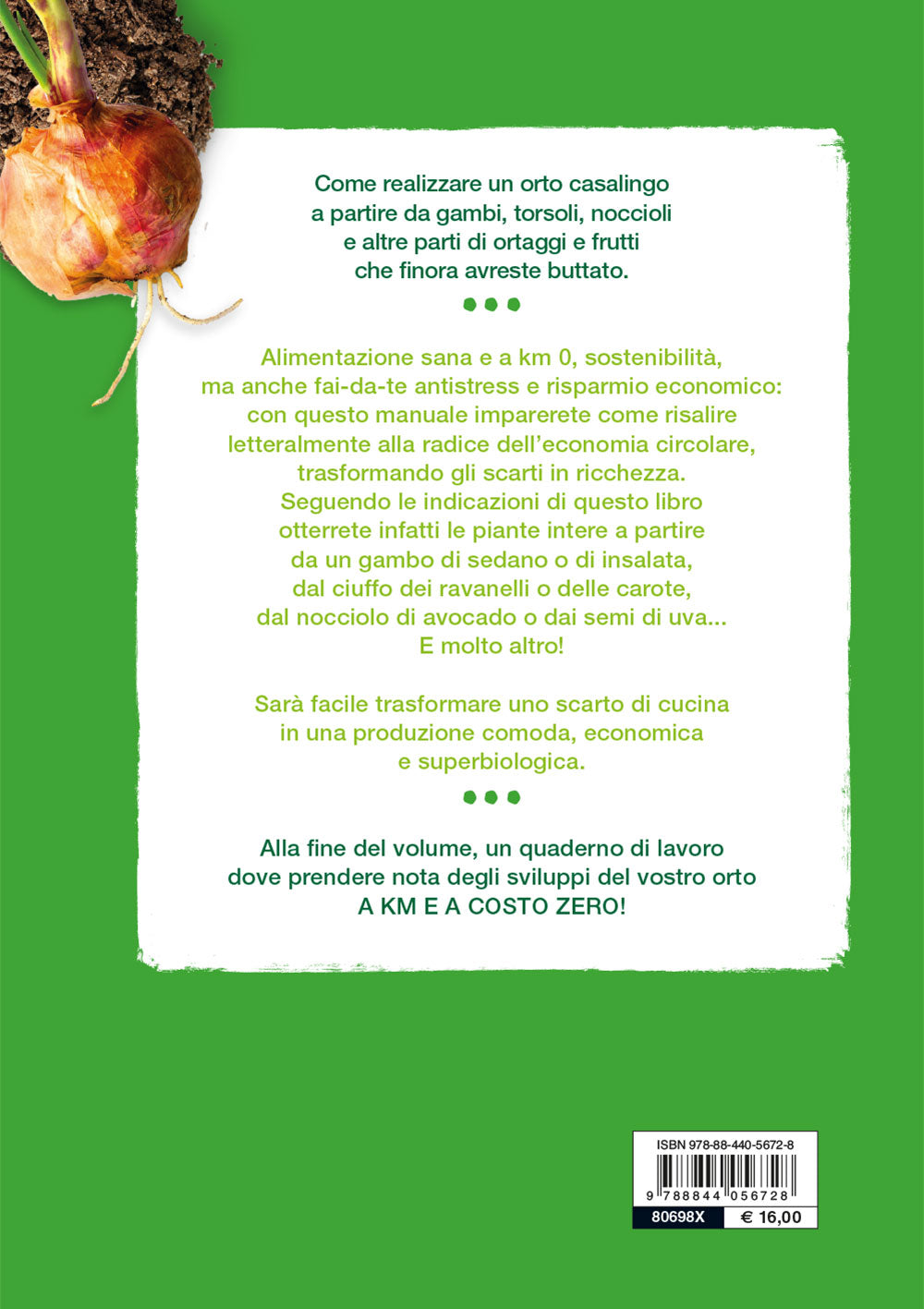 Non si butta niente!::Realizzare un orto casalingo con gli scarti di cucina
