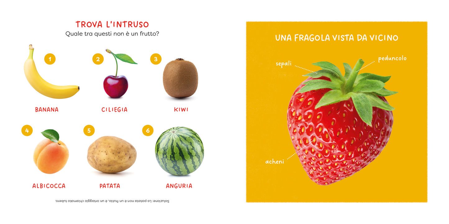 Fragola::un primo sguardo scientifico sul mondo naturale