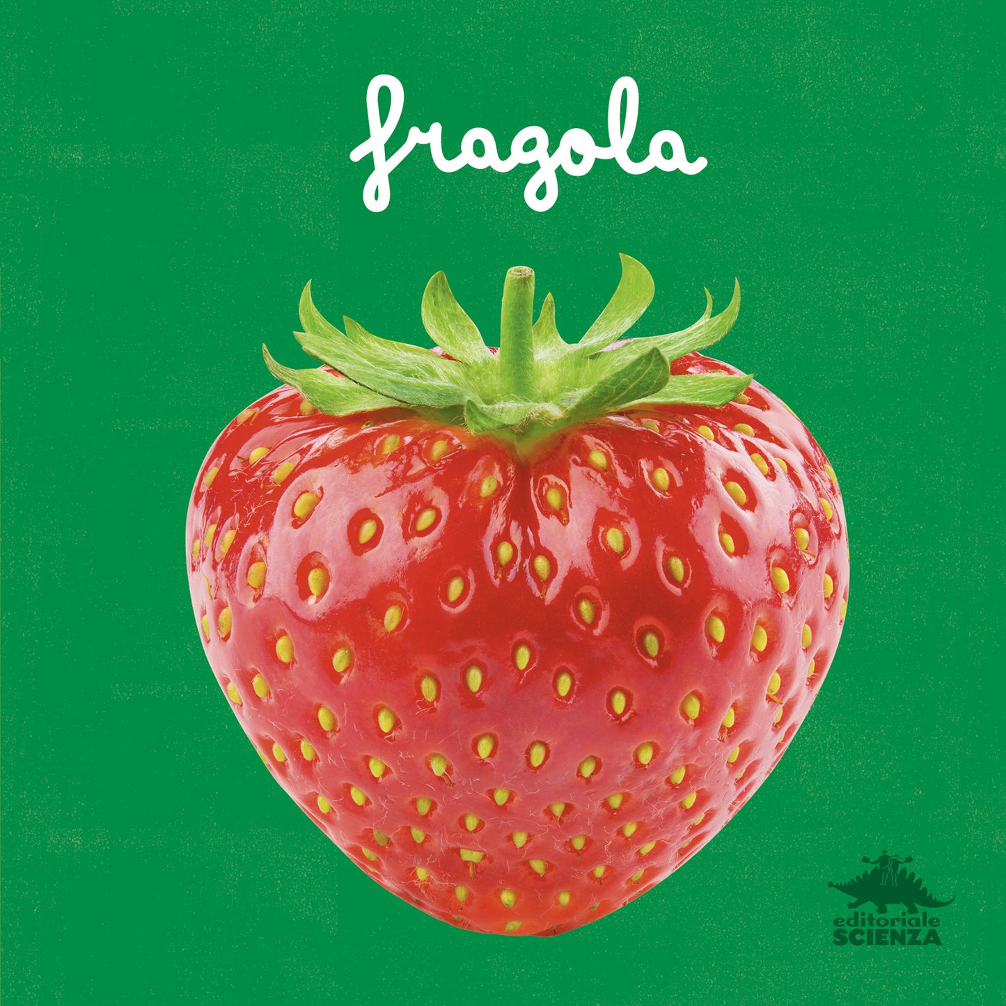 Fragola::un primo sguardo scientifico sul mondo naturale