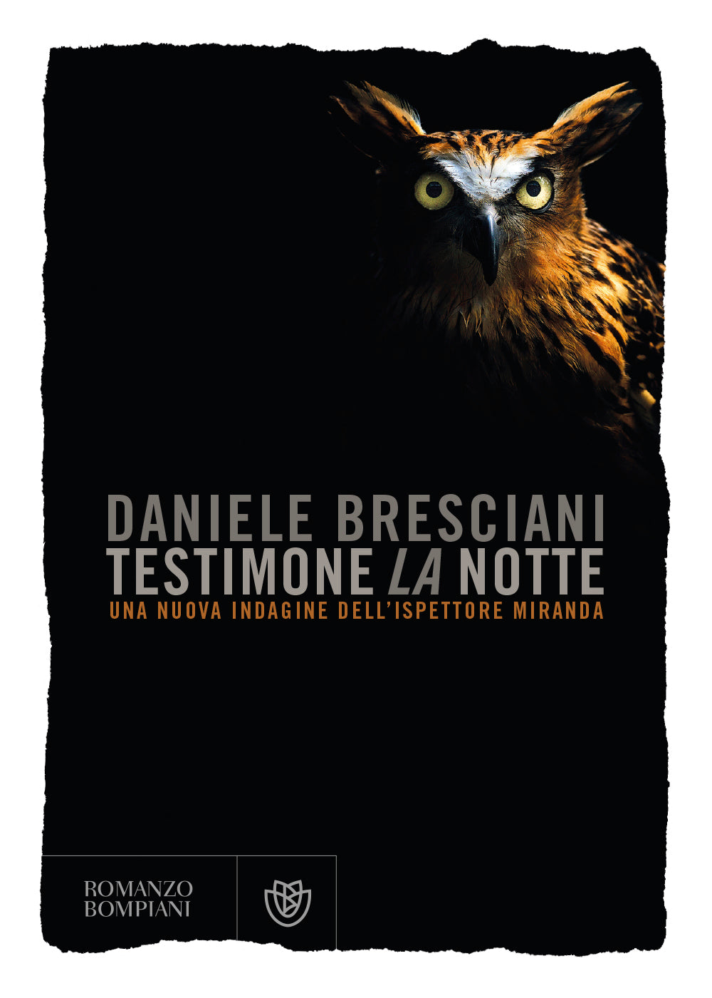Testimone la notte