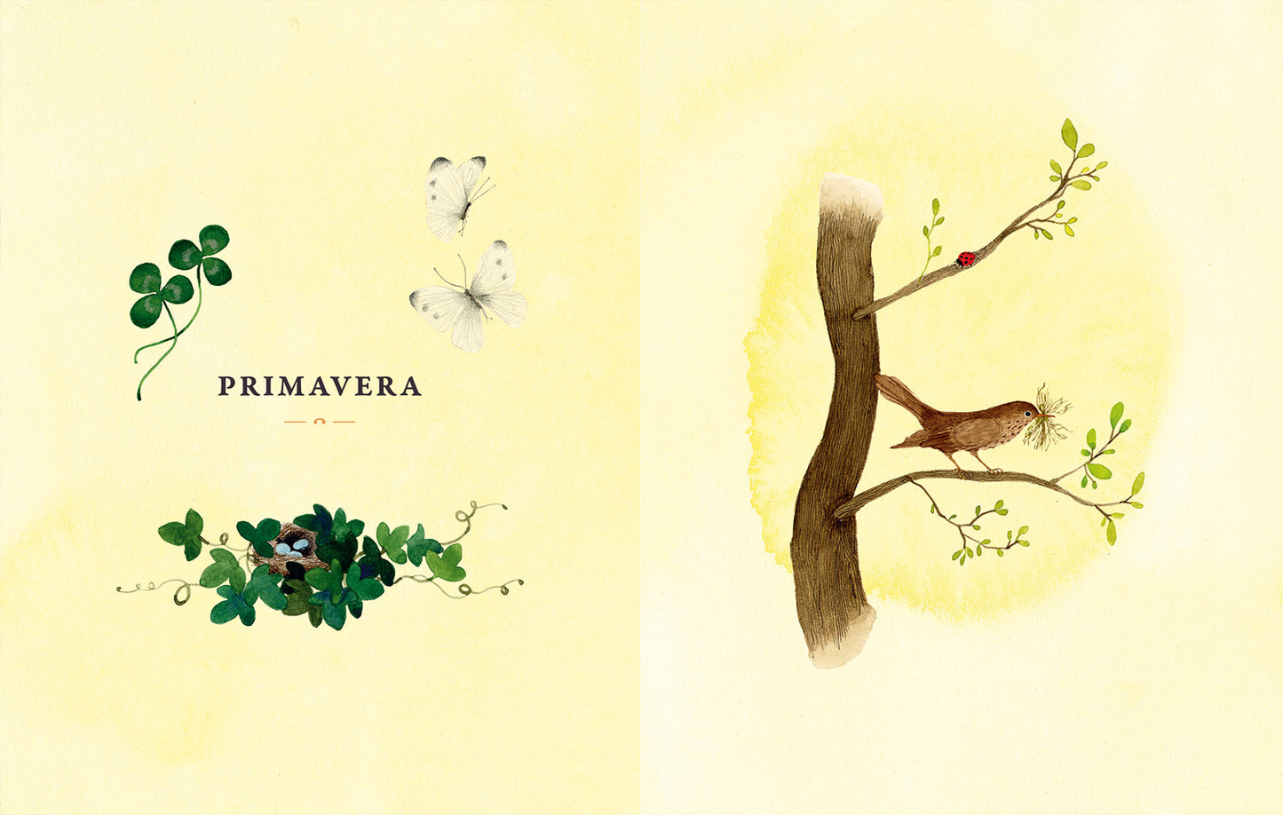 Haiku per esplorare il mondo