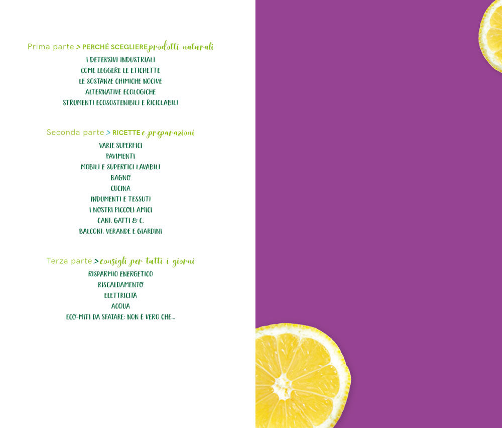 Detersivi fatti in casa::come preparare prodotti per la pulizia semplici e naturali